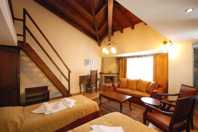Vasilitsa Spa Resort 格雷韦纳 客房 照片