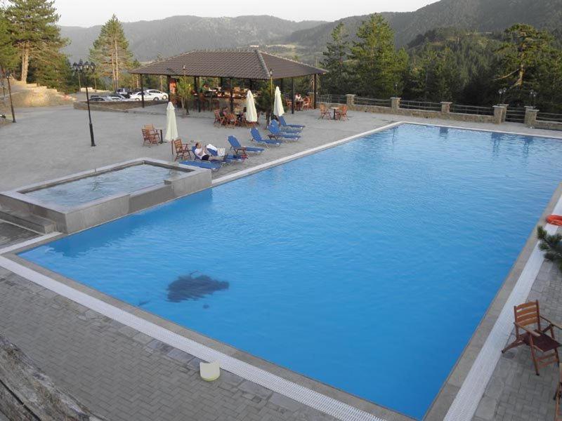 Vasilitsa Spa Resort 格雷韦纳 外观 照片